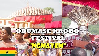 Highlights of Odumase Krobo Ngmayem Festival 2022  Festivals in Ghana [upl. by Vachil552]