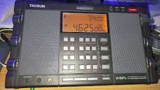 UVB76 Russian Buzzer 4625 kHz USB Shortwave received Tecsun H501x on MLA 30 loop antenna [upl. by Frere]