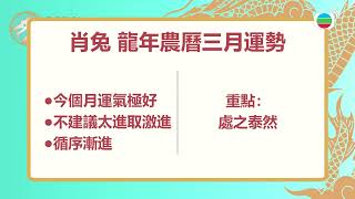 【4月生肖運程】生肖龍情緒波動大小心脾氣壞事 屬豬宜多做事少說話勿講多錯多 屬雞運程如坐過山車工作宜天黑前完成  2024甲辰龍年生肖運程丨張芯熏 [upl. by Dinnie]