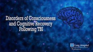 Disorder of Consciousness amp Cognitive Recovery Following TBI Levels 46 [upl. by Fahy]