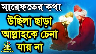 কেন উছিলা ছাড়া আল্লাহ পাওয়া যায় না  মারেফতের কথা  DM Rahat  Sufism BD [upl. by Palmer]