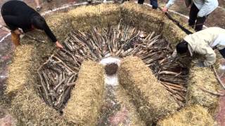 Jardin mandala de permaculture la pose des bois du Keyhole Garden [upl. by Anastatius611]