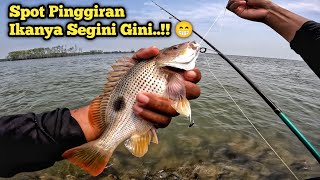 Spot Mantap 1 Orang Bisa Dapet Puluhan Ikan Kalo Mancing Di Tempat Ini [upl. by Ayin]