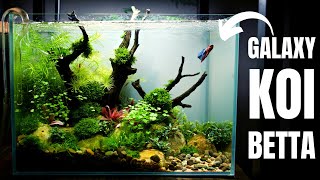 AQUASCAPE TUTORIAL Planted NANO BETTA TANK For a Special Betta [upl. by Platas717]