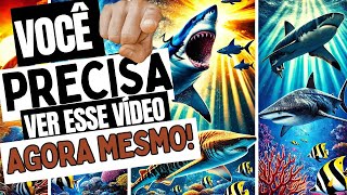 COMPILADO DE VIDEOS NOVOS DO CANAL [upl. by Kester]