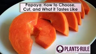 Papaya How to Choose Cut and Enjoy from PlantsRule [upl. by Koralie]