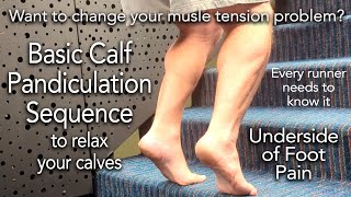 Somatics for Tight CALVES  FOOT PAIN Calf Pandiculation Sequence Foot Cramps Plantar Fasciitis [upl. by Anabella]