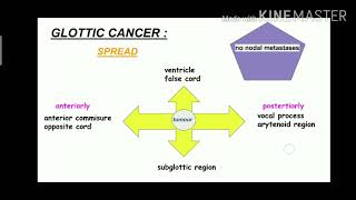 Cancer Larynx  ENT  Etiology  clinical presentation  Types  Treatment [upl. by Dill]