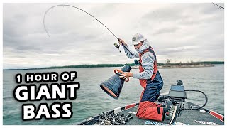 Fishing For CRAZY UNTOUCHED Bass 1 Hour UNCUT Fishing Tips [upl. by Askwith314]