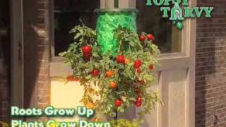 Topsy Turvy Tomato Tree  As Seen on TV Network [upl. by Adleme297]