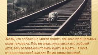 буктрейлер quotБелый Бим Черное ухоquot [upl. by Abram]