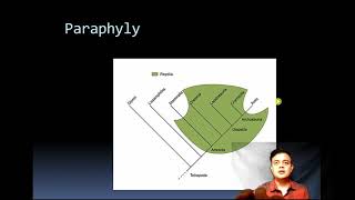 Homoplasy vs Apomorphy vs Plesiomorphy [upl. by Atiuqehc592]