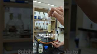 Hays Sulphur Powder Test For Bile Salts In Urine biochemistry urinetest [upl. by Adolf]