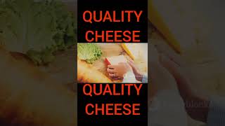 QUALITY CHEESE Shorts [upl. by Wallis]