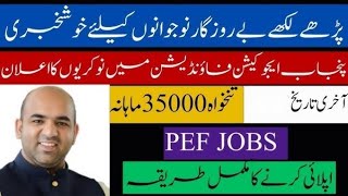 PEEF Jobs 2024  Punjab Education Foundation Jobs 2024  Online Application [upl. by Orgalim438]