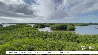 Walking Club Exploring Weedon Island Preserve in St Pete [upl. by Attalie]