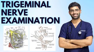 TRIGEMINAL NERVE EXAMINATION  CRANIAL NERVE EXAMINATION  NEUROLOGY [upl. by Ikciv]