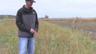 How to do a Smooth Brome Grass Renovation Project [upl. by Natam]