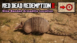 Nine Banded Armadillo location  Red Dead Redemption 2 [upl. by Eenram]