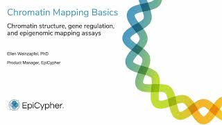 Chromatin structure gene regulation and epigenomic mapping assays [upl. by Magdaia]