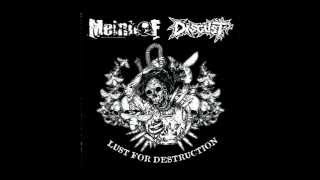 Meinhof  Disgust  lust for destruction 2008 [upl. by Sinnylg]