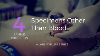 SPECIMENS OTHER THAN BLOOD [upl. by Simetra]