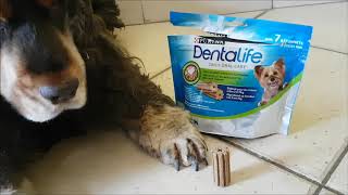 PURINA® DENTALIFE® EXTRA MINI [upl. by Anilad264]