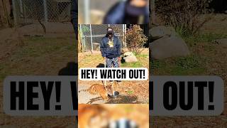 OUTKAST’S BIG BOI LEARNS CAT LOVE HURTS outkast hiphoplegend bigboi [upl. by Eustasius]