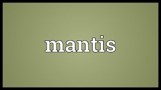 Mantis Meaning [upl. by Annayad188]