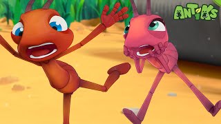 Joey And Boo Go On A Big Trip  🐛 Antiks amp Insectibles 🐜  Funny Cartoons for Kids  Moonbug [upl. by Selie]