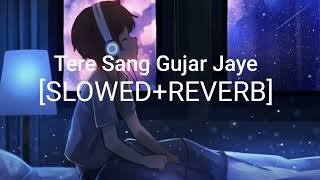 Tere Sang Gujar Jaye SlowedReverb Song  Lofi Songs [upl. by Leith827]