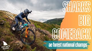 Great Whyte Creations  PMBA National Champs Enduro  Ae forest [upl. by Nary35]