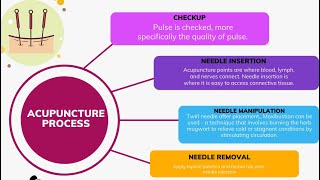 Acupuncture The Process Explained [upl. by Eigriv851]