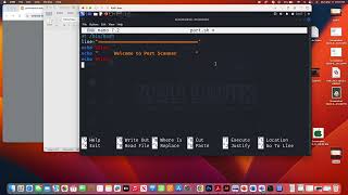 Port Scanner Using Bash Scripting [upl. by Faden951]