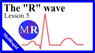 The R wave  EKG basics [upl. by Saree]