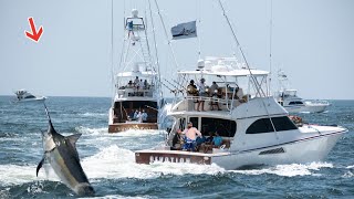 72 Hours Offshore Chasing Million Dollar Fish On 60’ Viking Devotion [upl. by Schulman]