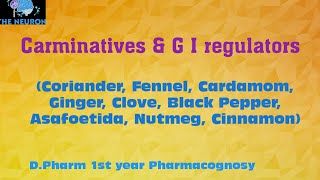 Carminatives and G I regulators  Pharmacognosy  DPharm 1st year [upl. by Sang]