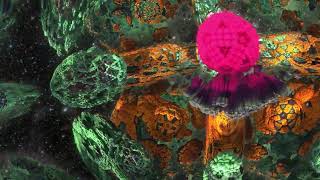 Simulated Interdimensional Travel Psychedelic Fractal Visuals 4K 60fps  Trip Simulation [upl. by Maren189]