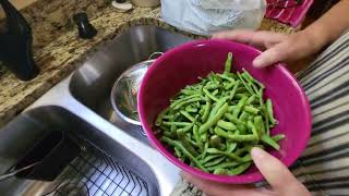 Canning Green Beans [upl. by Garneau]