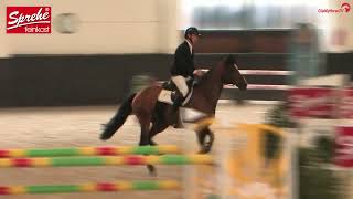 Diachacco DIARADO et Dominik Juffinger  3e GP 1m50 au CSI3 de LinzEbelsberg [upl. by Ydarg]