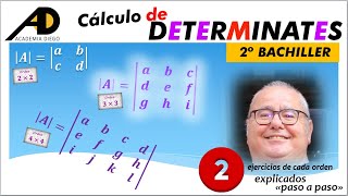 Calculo de DETERMINANTES ACADEMIADIEGO [upl. by Suolekcin]