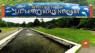 Visiting the Lillehi Trout Nursery Allentown Fish Hatchery  July 4th Adventure  Hey You Guys [upl. by Pheni]