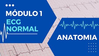 ECGMódulo 01Aula 01Conceitos da Anatomia para entender o ECG [upl. by Alrahc]