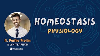 Homeostasis  Mechanisms of Homeostasis English  White Apron  ft Partho Protim [upl. by Haida]