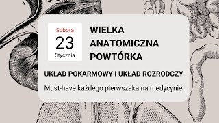 WIELKA ANATOMICZNA POWTÓRKA  układ pokarmowy i układ rozrodczy [upl. by Bowen]