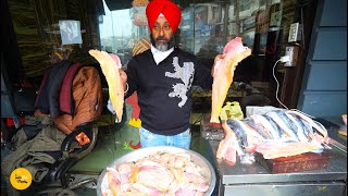 Huge Making of Biggest Amritsari Fish Fry Rs 360 Only l Amritsar Street Food [upl. by Lapointe515]