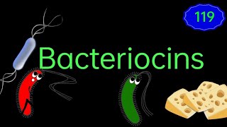 Bacteriocins EnteMicrobialWorld microbiology microbes bacteria biology microorganisms vbs [upl. by Costello]