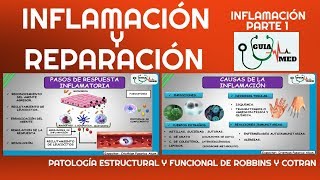 INFLAMACIÓN Y REPARACIÓN PATOLOGÍA ROBBINS  GuiaMed [upl. by Hans]