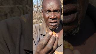 Hadzabe cutting trees to find out honey bees 🐝🐝🐝 [upl. by Archibold]