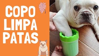 Copo Limpador Limpa Patas De Cachorro gato Pets [upl. by Naenaj508]